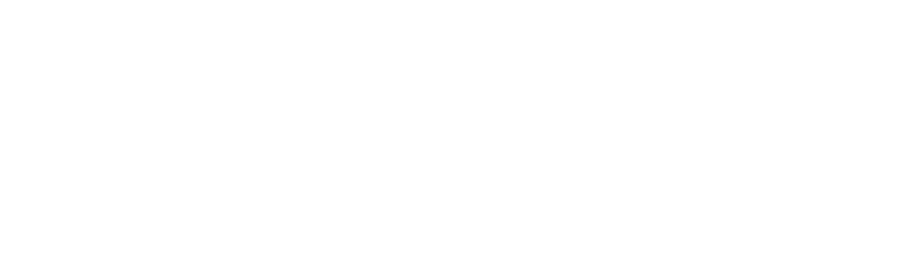 Slovak Game
                        Developers Association logo