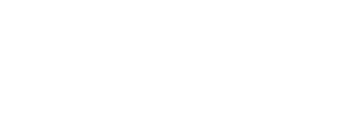 Virtual Horizons logo