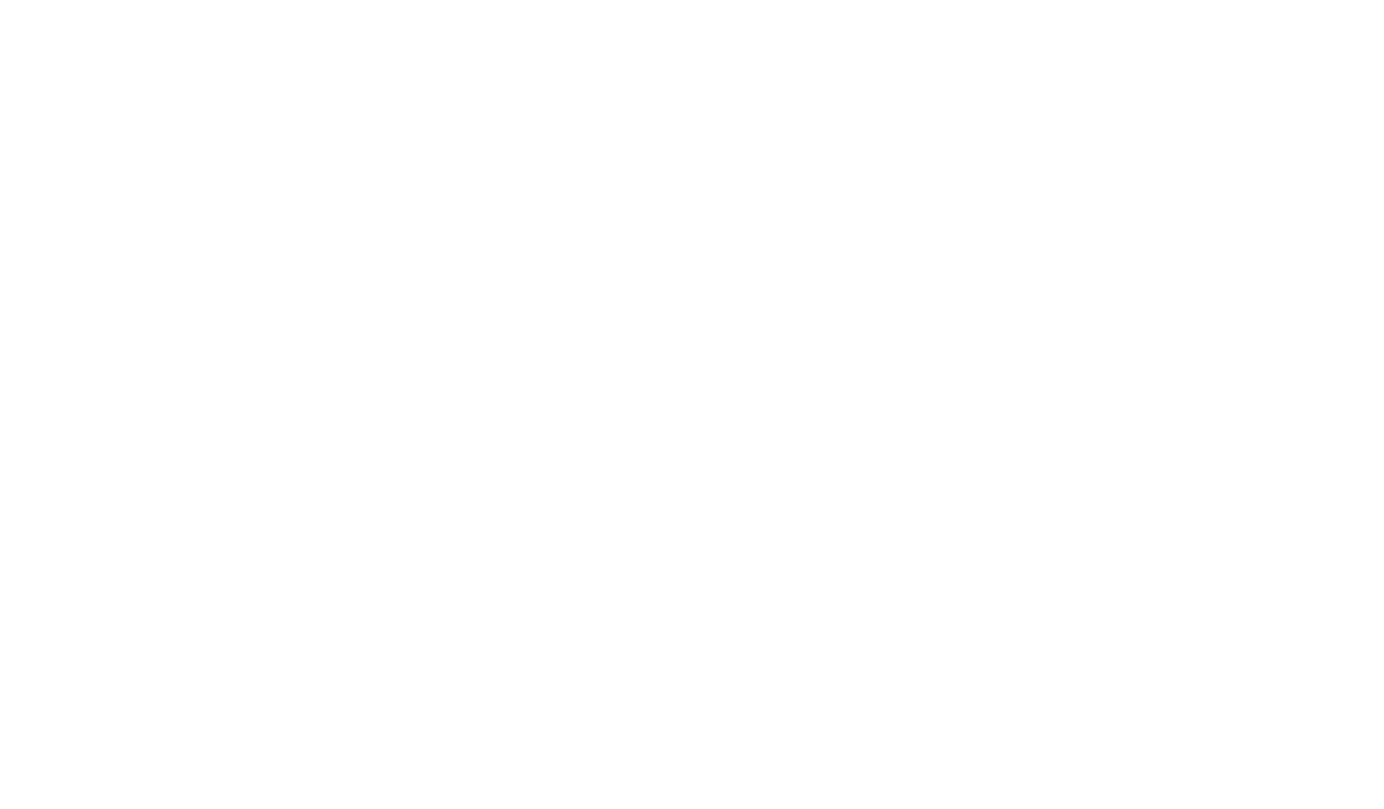 Institute of
                        Documentary Film logo