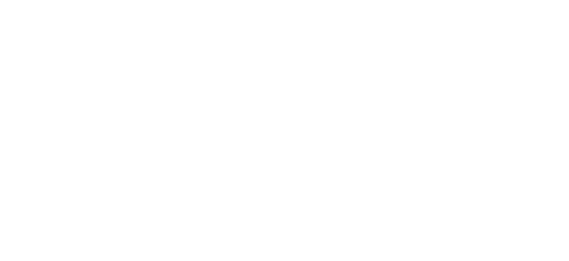 visegrad fund
              logo